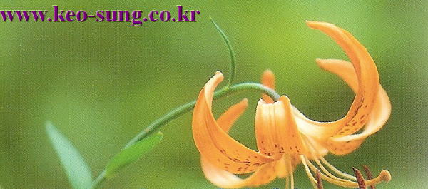 20150307102758_zyomqizg.jpg